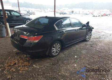 2011 Honda Accord 2.4 Ex-L из США, поврежденный, VIN 1HGCP2F81BA085544